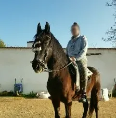 Sina, 31